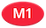 m1